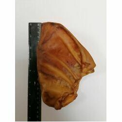 Cūku ausis medium 18cm, gab.