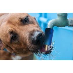 Dog Water Tap Feeder - suņu dzirdinātava ūdens krānam