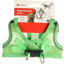 Flamingo krušu siksna suņiem BENTO GREEN XS 30-32CM