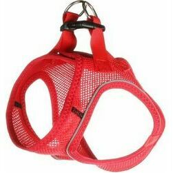 Flamingo krušu siksna suņiem BENTO RED L 42-46CM