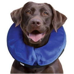 KONG Cloud Large - apkakle suņiem