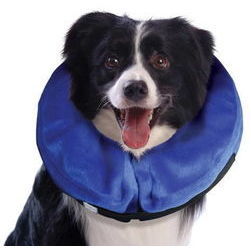 KONG Cloud Medium - apkakle suņiem