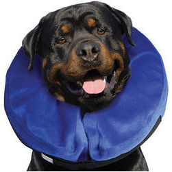 KONG Cloud X-Large - apkakle suņiem