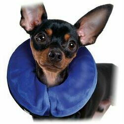 KONG Cloud XSmall - apkakle suņiem un kaķiem