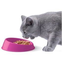 Plastmasas bļoda, pazemināta VIBRISSA 15 x 4 h cm