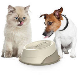 Ūdens strūklaka mīļdzīvniekiem TREVI lt. 2,00